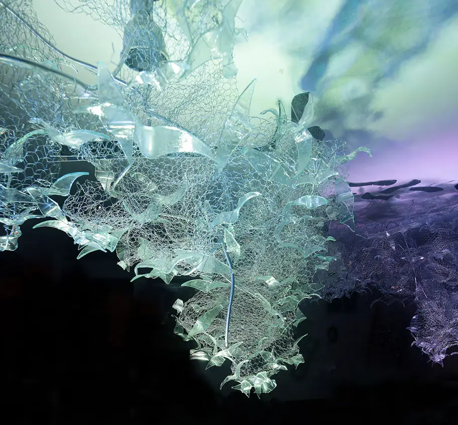 obra-dm-revoada-passaros